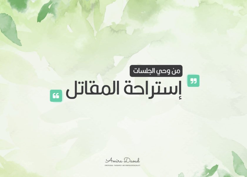 مدونة-أميرة-إستراحة-المقاتل